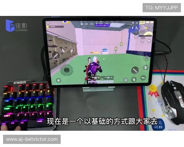 佳影游戏厅详细讲解如何将小眼睛位置正确设置在画面中心